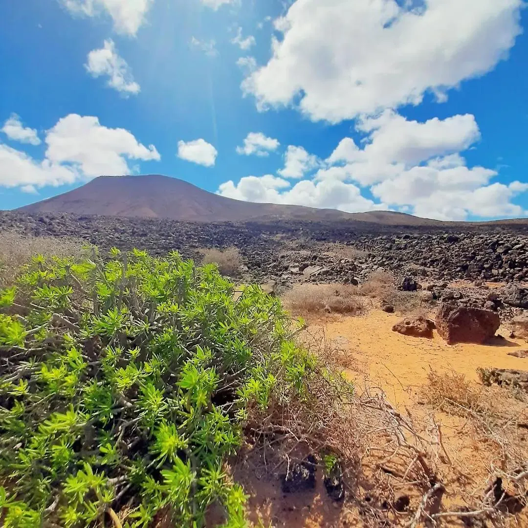 Casa Alma Corralejo Bristolアパートメント アパート